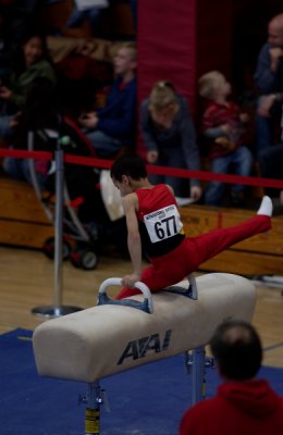 Pommel Horse