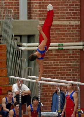 Parallel Bars