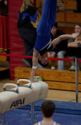 Pommel Horse