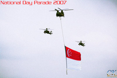 NDP2007.jpg