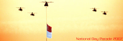 NDP2007_2.jpg