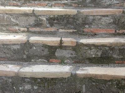 Man it's tough getting up these steps.

(A gecko very similar to those seen in the southwest of the USA.)
