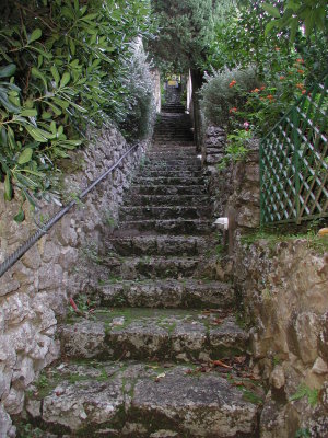 PA210415.JPG