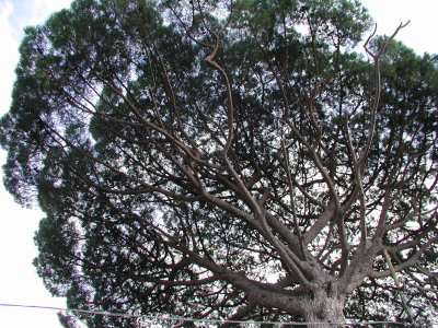 PA210422.JPG
