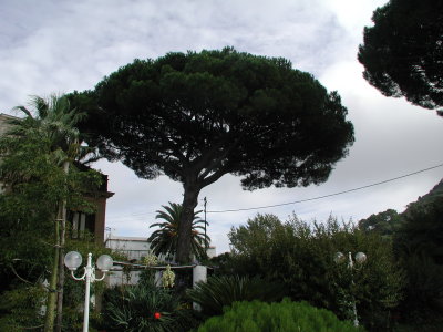 PA210423.JPG