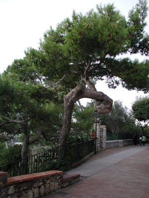 PA210432.JPG