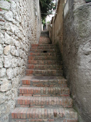 PA210438.JPG