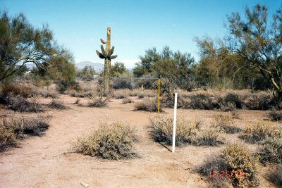 Site selection and alignment. View looking north. The white pole to the right of the Giant Saguaro cactus is to align on Polaris. (Not terribly important at this stage.)
December, 1999.

00010101.jpg  

