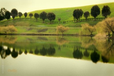 Sandy Wool Lake, Milpitas