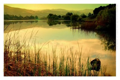 Early morning at Sandy Wool Lake, Milpitas
