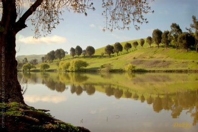 Sandy Wool Lake, Milpitas