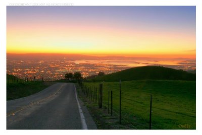 The Road Home