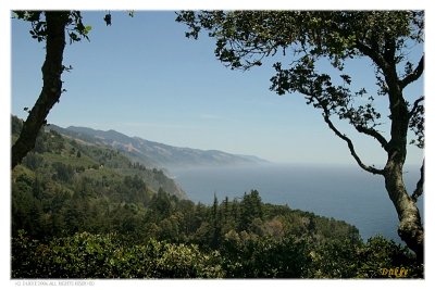 South of Nepenthe