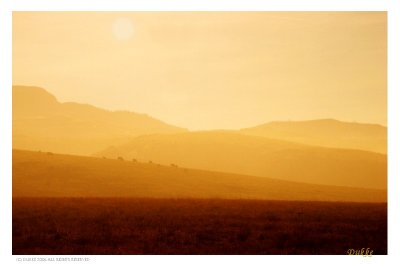 Foggy Hills