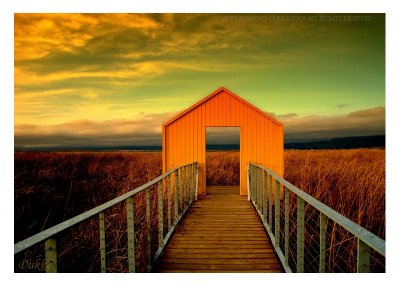 The Magic Gate!