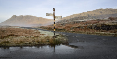 Lonely Sign