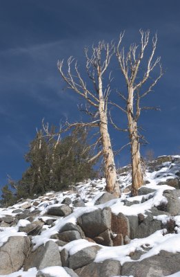 eastern_sierra