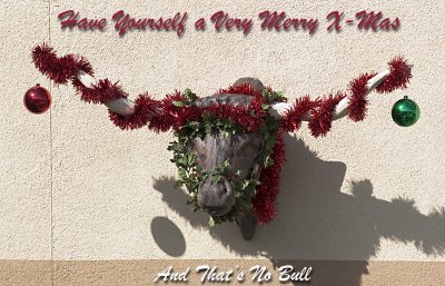 Merry X-Mas Bull.jpg