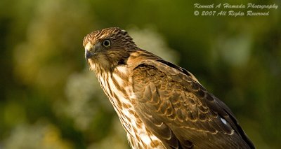 g6/02/582902/3/83191928.d2huArst.jpg