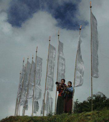 Blowing their horns near Sherubitse
