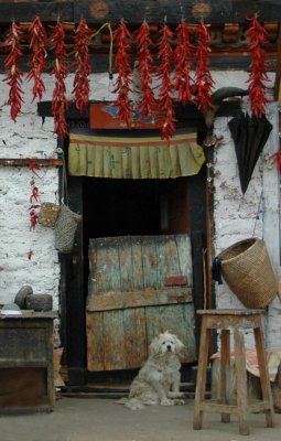 Front door in Thimpu