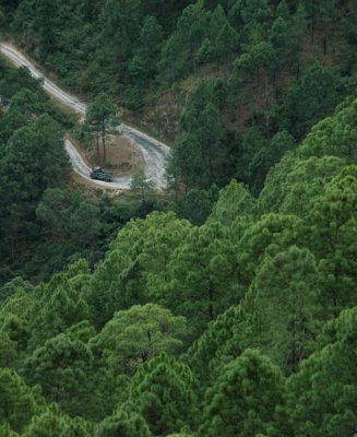 Mountain roads in Bhutan