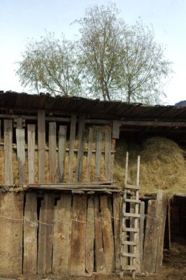 Old farm barn