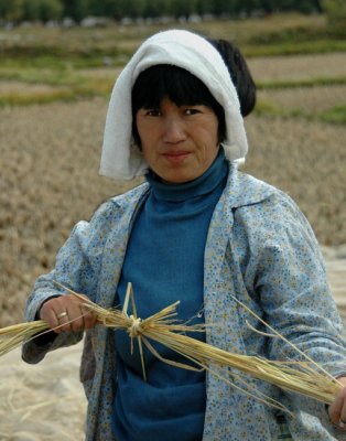 The farmers wife