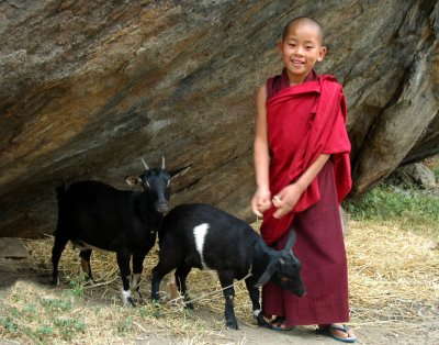 Trainee goat herder