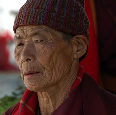 Veteran of Paro