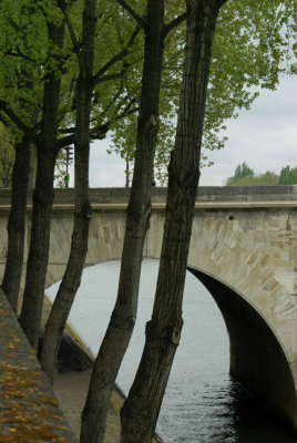 5 trees and a bridge