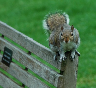 Checking park visitors