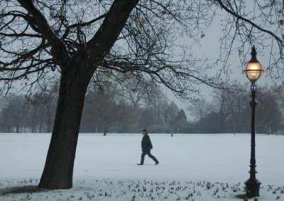 Snow in the park