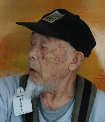 Japanese veteran