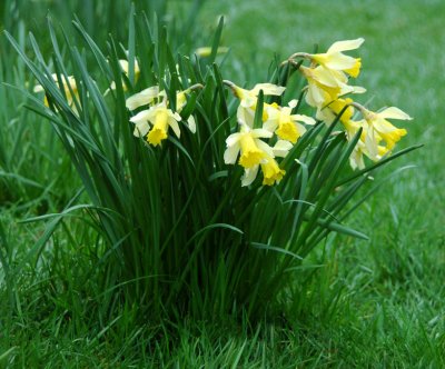 Spring is really here
