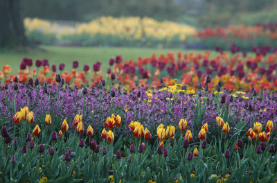 Spring colours