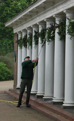 Watering at the Lido