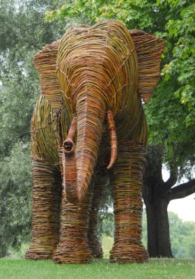 Boss elephant.