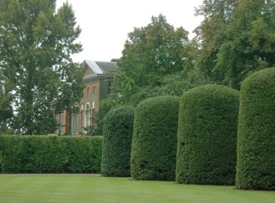 Topiary at Kensington Palace