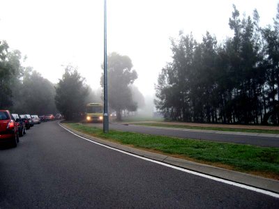 foggy morning ride..