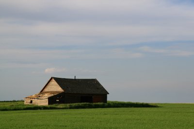Old Barn - North of Calgary