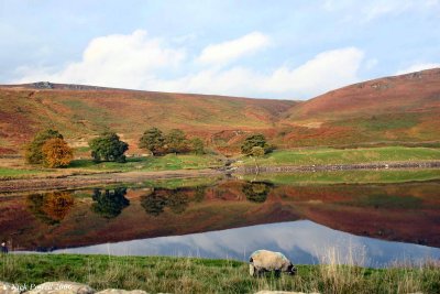 Embsay Reservoir North Yorkshire 1