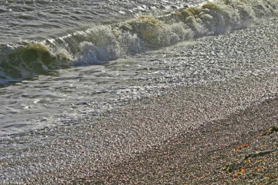 Walmer Beach 9