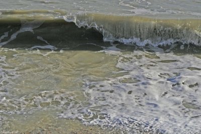 Walmer Beach 6