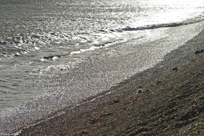 Walmer Beach 10