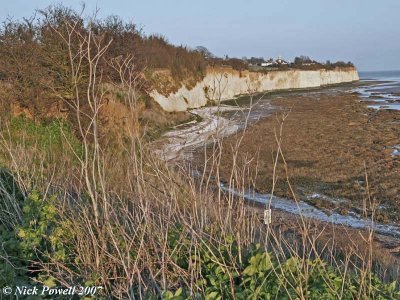 Pegwell Bay Nature Reserve