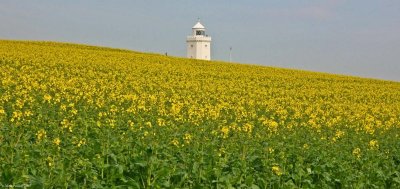 South Foreland Lighthouse 1 St Margarets Bay Dover.jpg