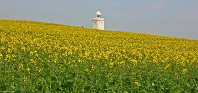 South Foreland Lighthouse 1 St Margarets Bay Dover.jpg