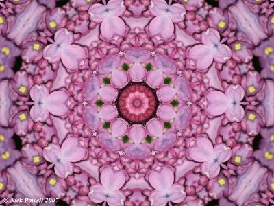 Lilac Kaleidoscope 1
