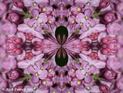 Lilac Kaleidoscope 2